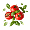 Juicy Red Tomatoes